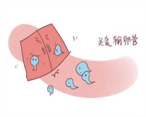 助孕价格：试管婴儿从检查到移植多长时间