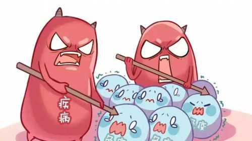 【2026年度】50岁还能怀孕吗？高龄妊娠可能性与风险分析